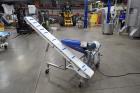 Reclaim Conveyor